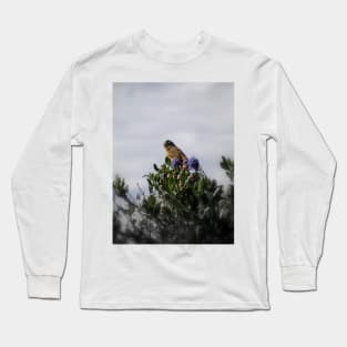 White crowned sparrow in a blue blossom Ceanothus Thyrsiflorus bush Long Sleeve T-Shirt